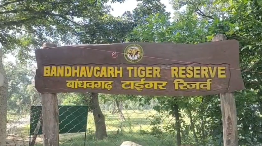 04 सितंबर को ताला में लगेगा श्रीकृष्ण जन्माष्टमी मेला: टाइगर रिजर्व प्रशासन ने कसी कमर, भीड़ प्रबंधन पर हुई चर्चा